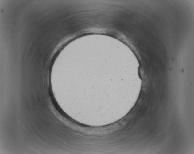 X0000084040011200703161843