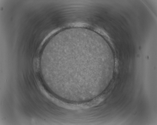 X0000084040012200703161843