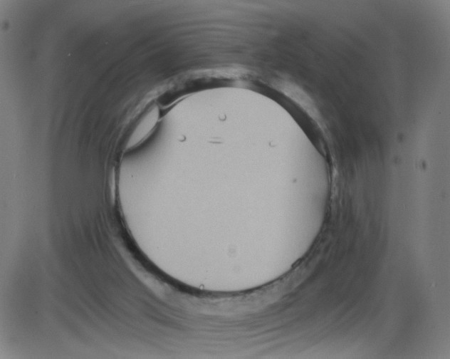 X0000084040013200703161843