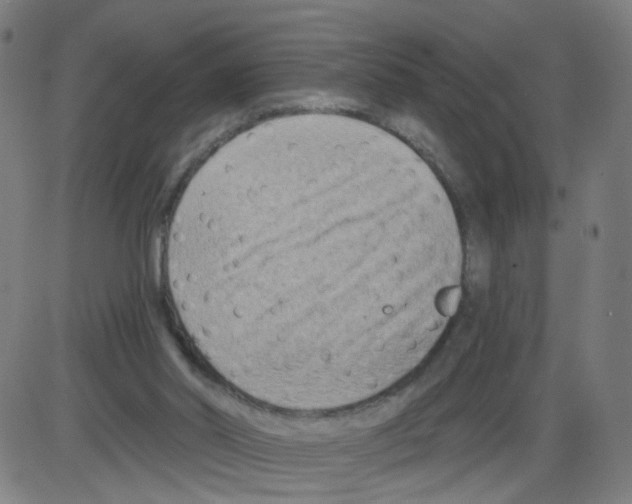 X0000084040014200703161843