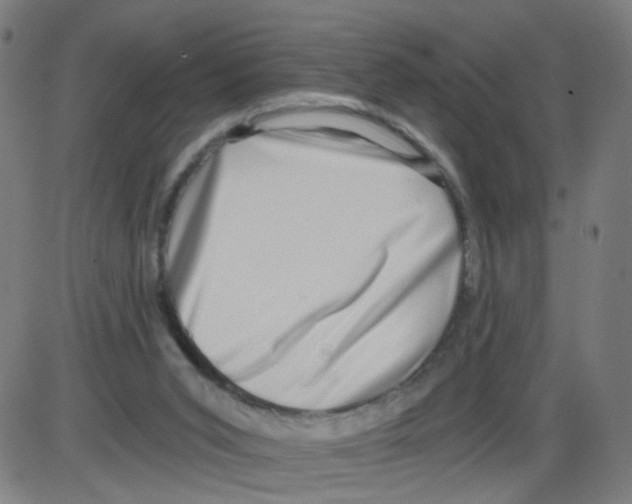 X0000084040015200703161843