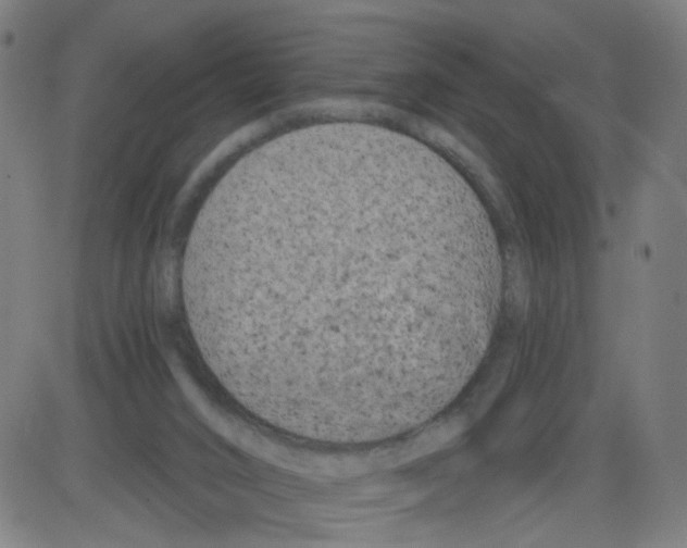 X0000084040016200703161843