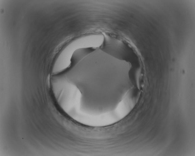 X0000084040019200703161843