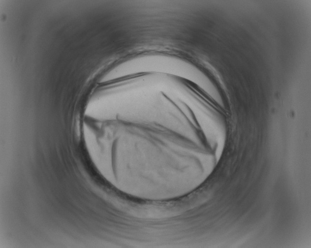 X0000084040020200703161843