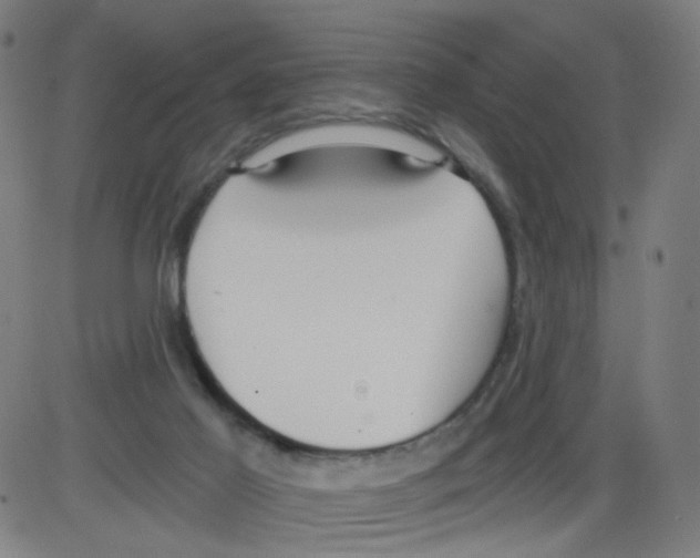 X0000084040021200703161843