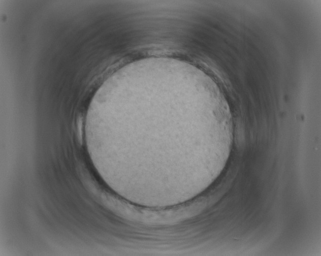 X0000084040022200703161843