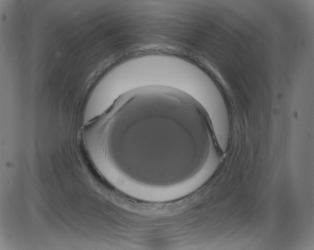 X0000084040023200703161843