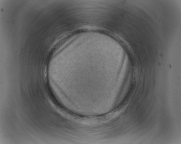 X0000084040024200703161843