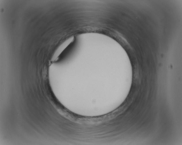 X0000084040025200703161843