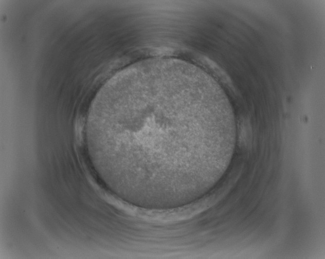 X0000084040026200703161843