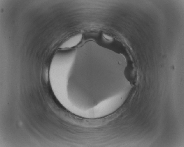 X0000084040027200703161843