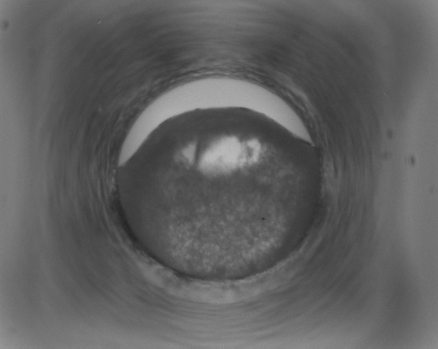 X0000084040029200703161843