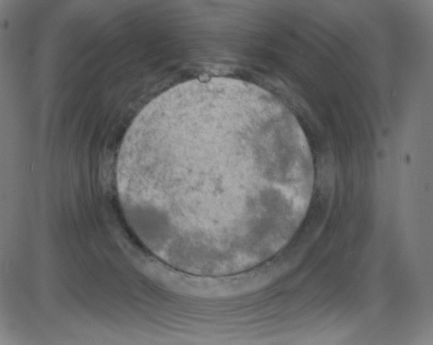 X0000084040030200703161843