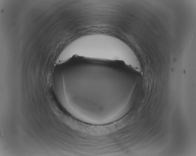 X0000084040031200703161843