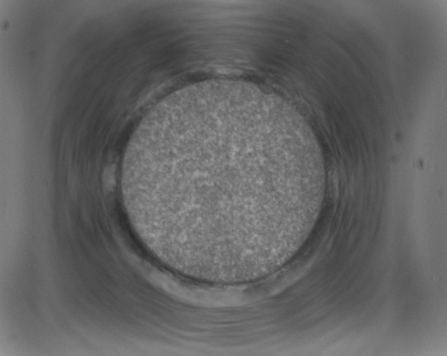 X0000084040032200703161843