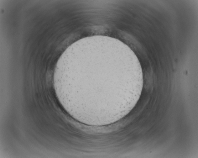 X0000084040034200703161842