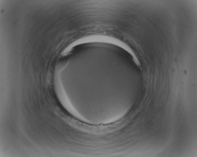 X0000084040035200703161842