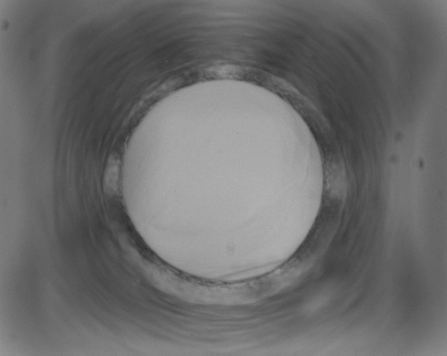 X0000084040036200703161842