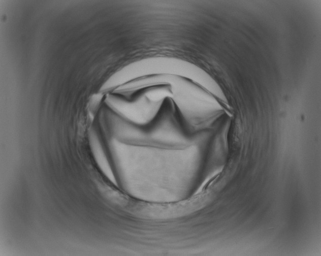 X0000084040037200703161842