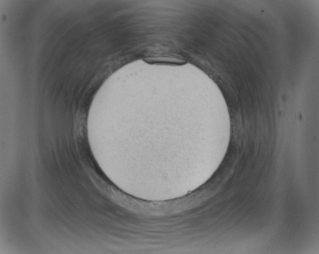 X0000084040038200703161842