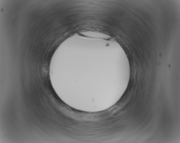 X0000084040040200703161842