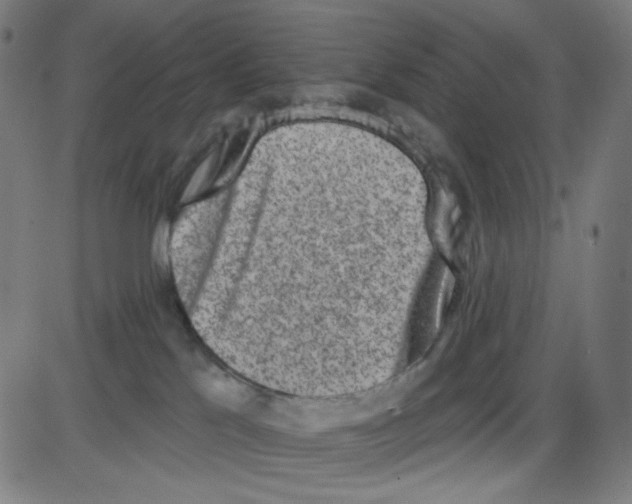 X0000084040041200703161842