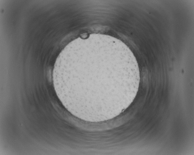 X0000084040042200703161842