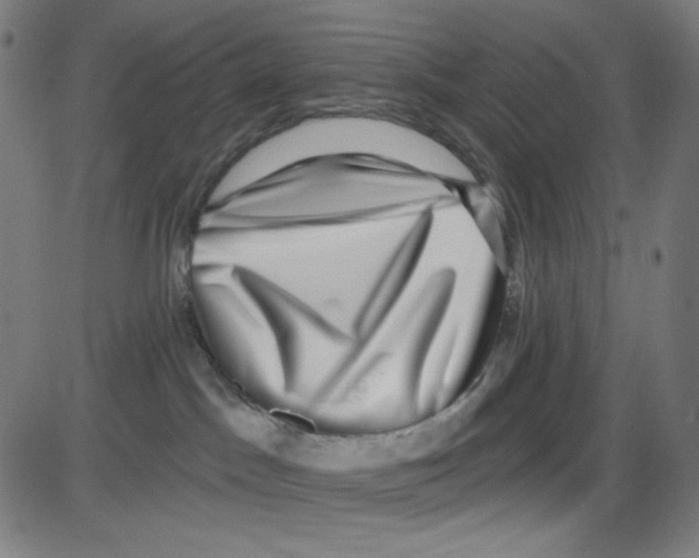 X0000084040045200703161842