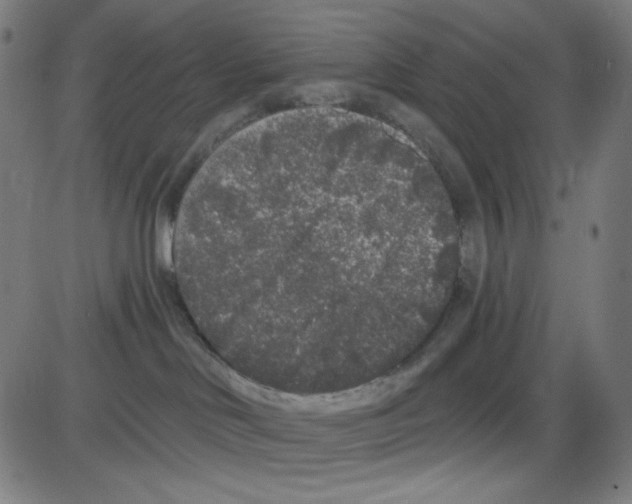 X0000084040046200703161842