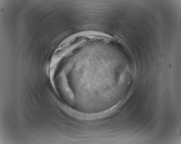 X0000084040047200703161842