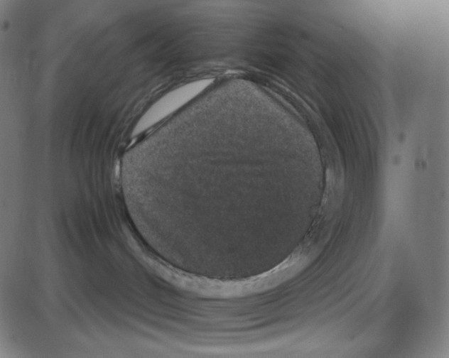 X0000084040048200703161842