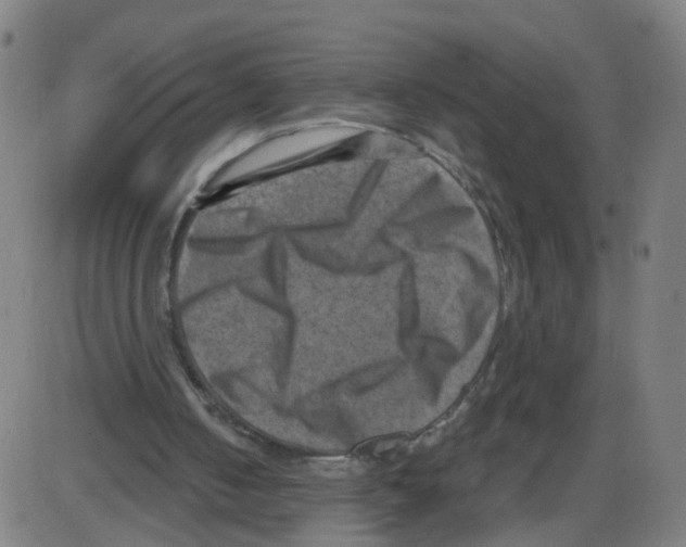 X0000084040050200703161841