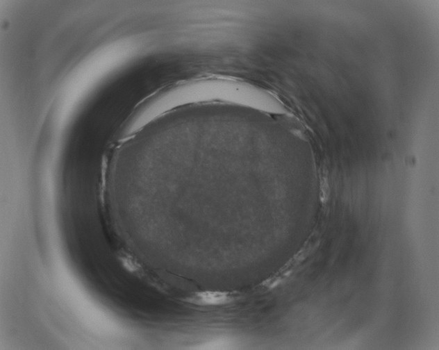 X0000084040052200703161842