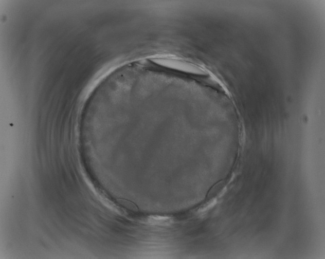 X0000084040055200703161842