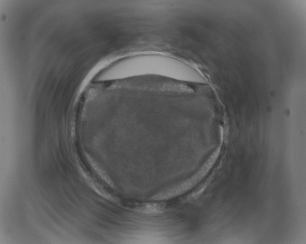 X0000084040056200703161842