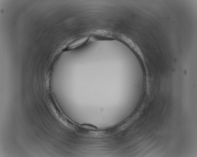 X0000084040057200703161842