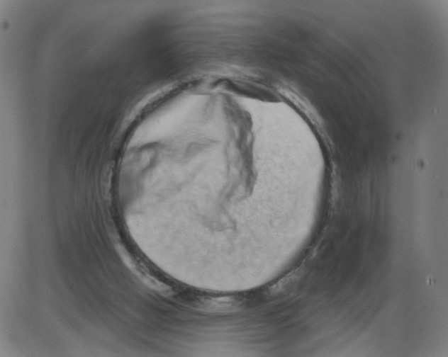 X0000084040058200703161842