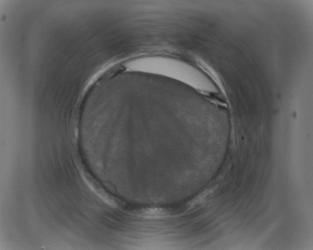 X0000084040059200703161842