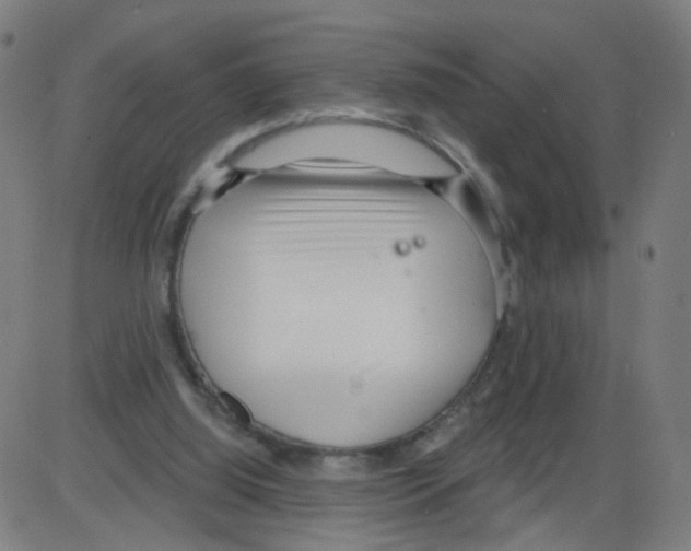 X0000084040060200703161842