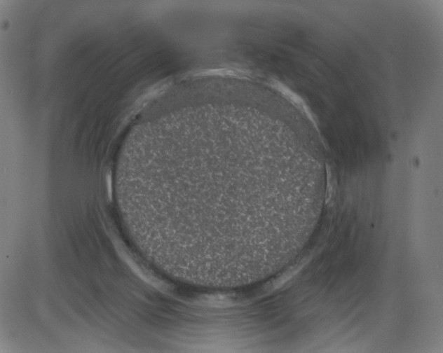 X0000084040061200703161842