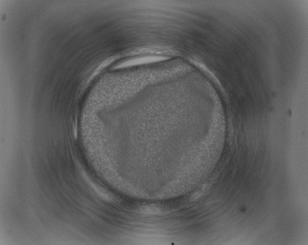 X0000084040062200703161842