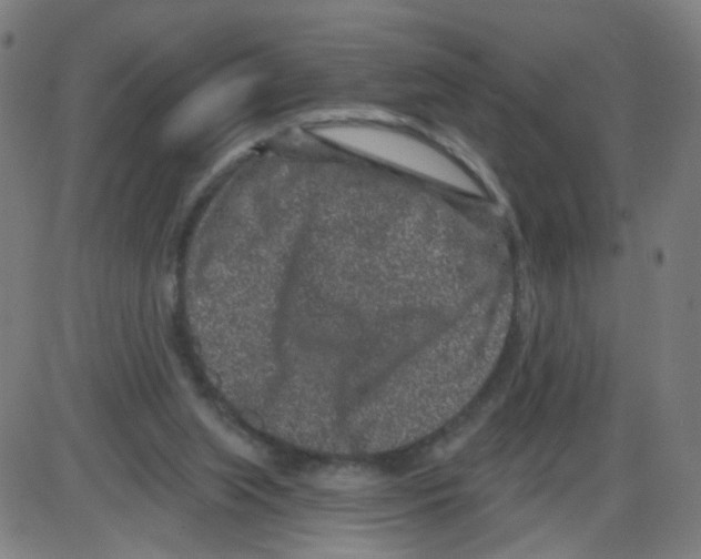 X0000084040063200703161842