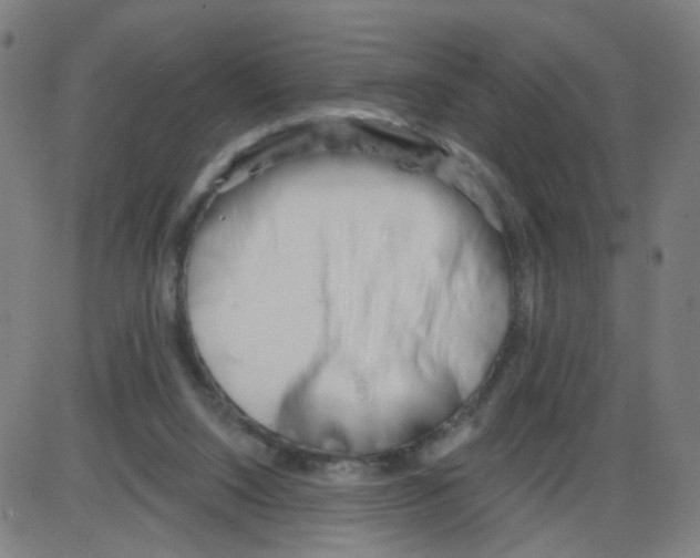 X0000084040064200703161842