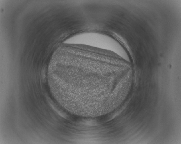 X0000084040065200703161842