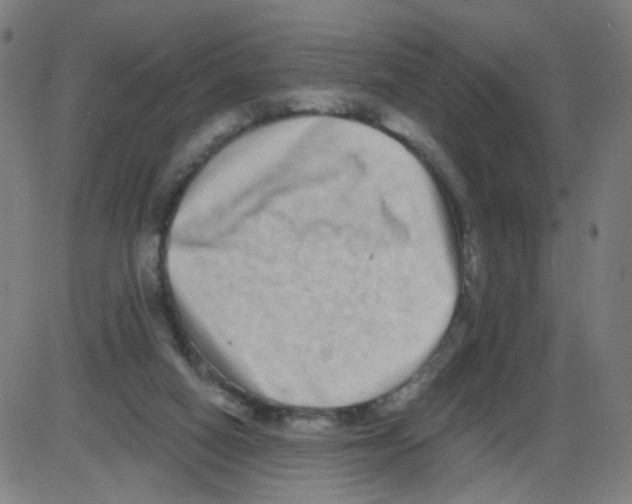 X0000084040066200703161842