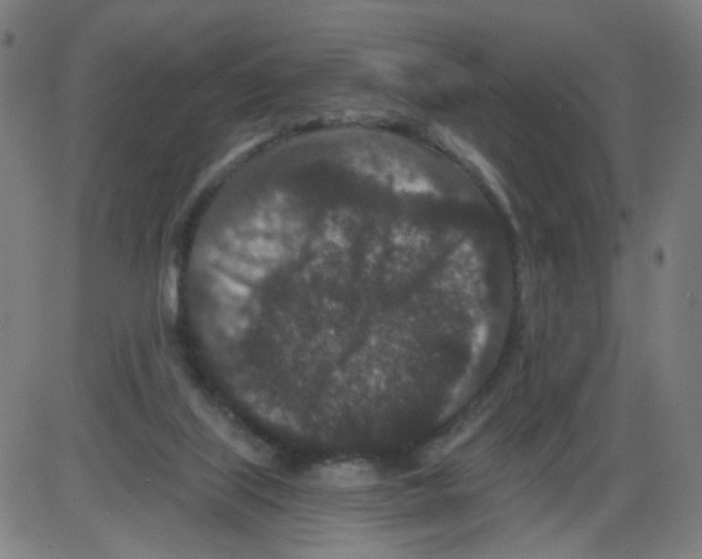 X0000084040067200703161842