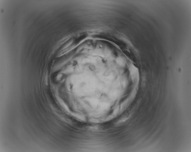 X0000084040068200703161842