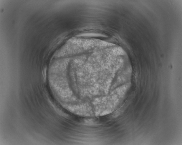 X0000084040070200703161842