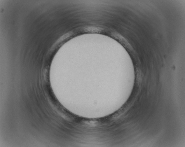 X0000084040071200703161842