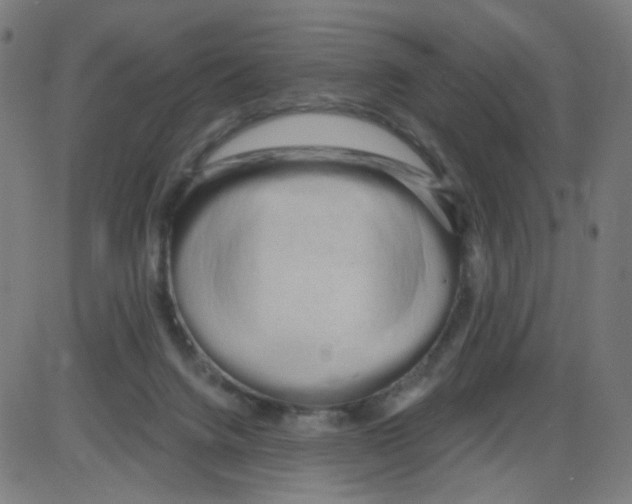 X0000084040072200703161842